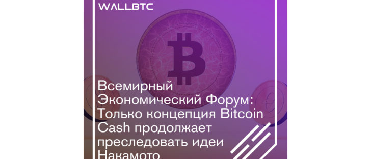 Всемирный Экономический Форум: Только концепция Bitcoin Cash продолжает преследовать идеи Накамото